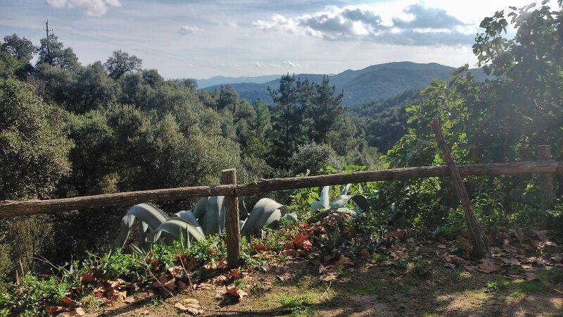 Can Canaleta Hotel Rural Santa Coloma De Farners Exterior photo